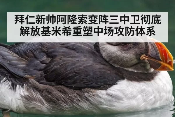 拜仁新帅阿隆索变阵三中卫彻底解放基米希重塑中场攻防体系